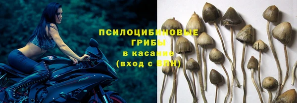 соль ск Алзамай
