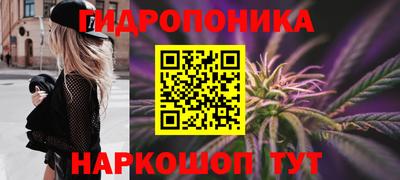 крисы Гагарин