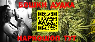 крисы Гагарин