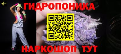 крисы Гагарин