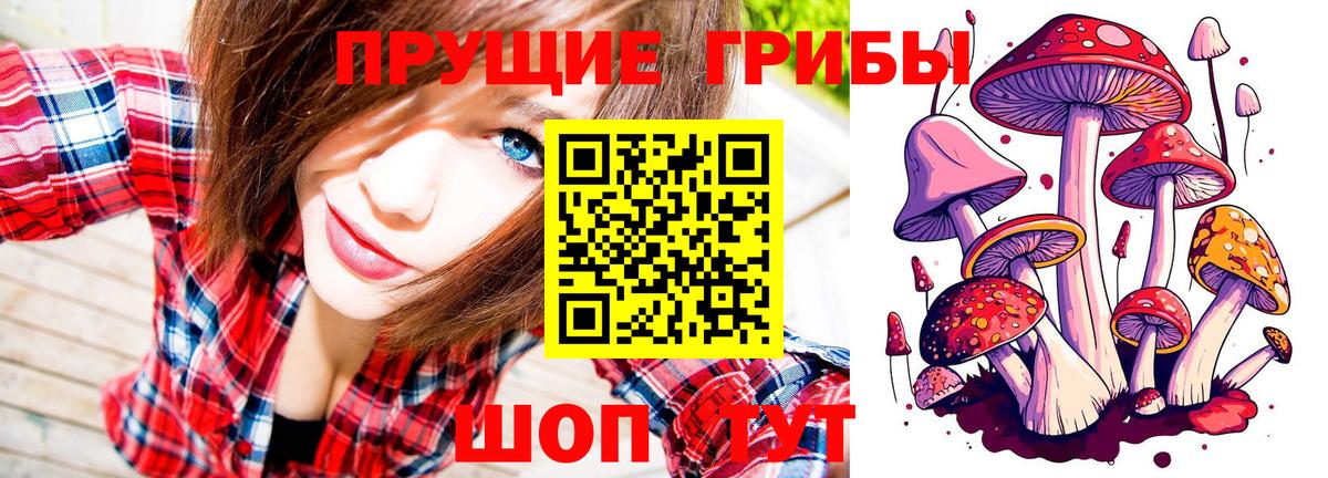 Дивногорск  Псилоцибиновые грибы Psilocybe  Вход с VPN  Галлюциногенные грибы мухоморы 